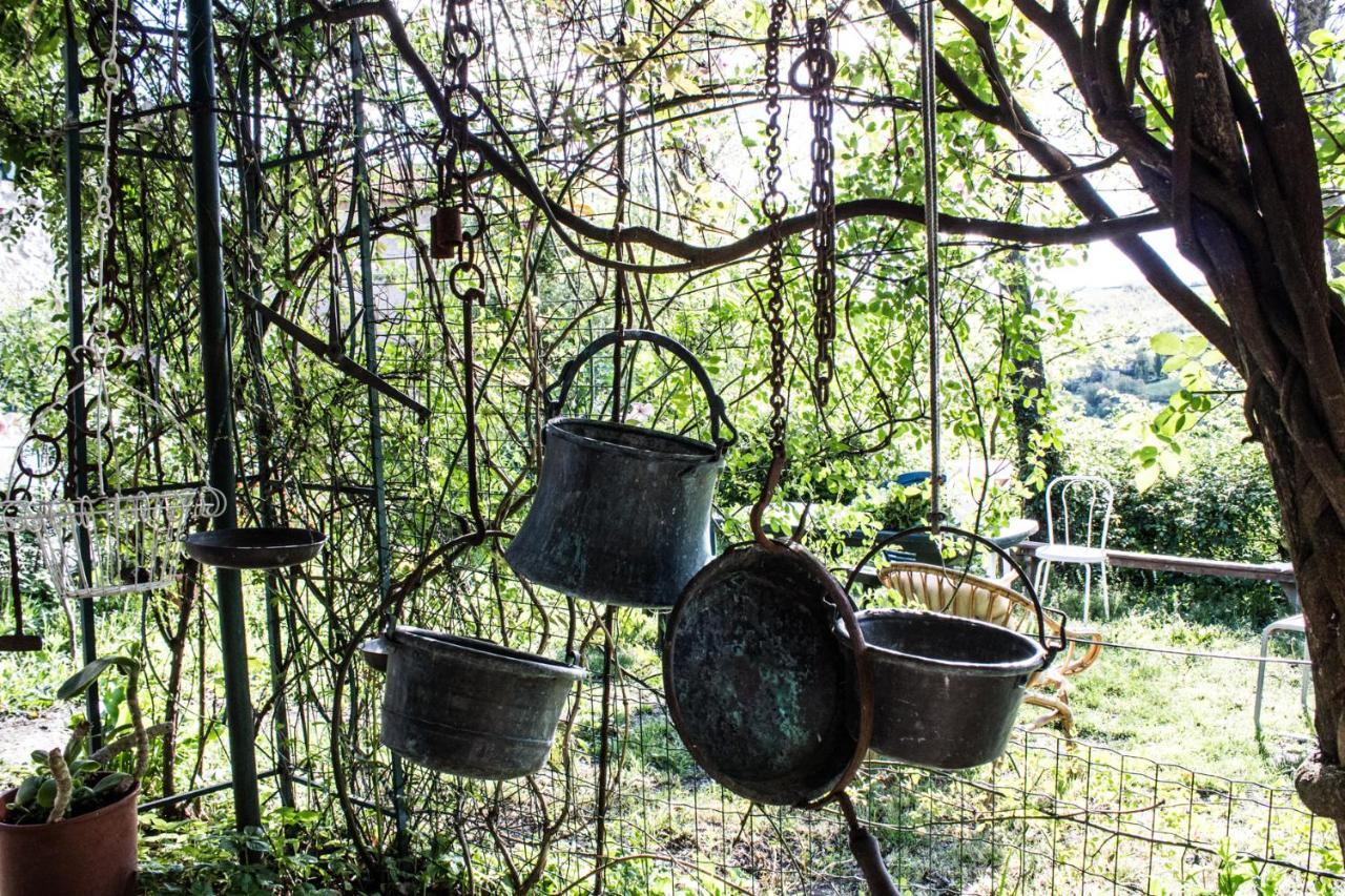 La Cavanella B&B Camugnano Zewnętrze zdjęcie
